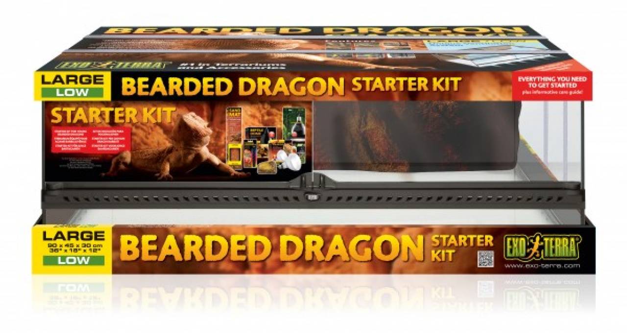 Exo Terra Bearded Dragon Starter Kit